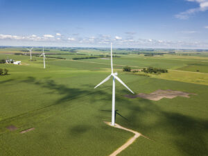 Wind turbines spinning in corn fields near Pipestone, Minnesota.